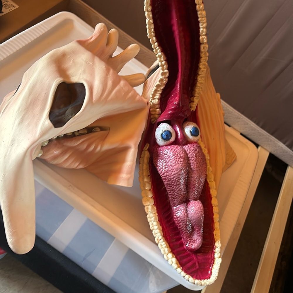 Unique Anatomical Model with Removable Parts